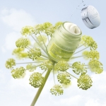 Angélique L’Occitane