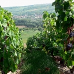 Valvital décroche la concession des thermes de Santenay