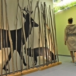Les Thermes de Bagnoles parient sur le bien-être et les loisirs
