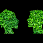 C’est tendance… Esprit «green» et RSE