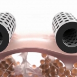 Icoone nouvelle génération, c’est parti !