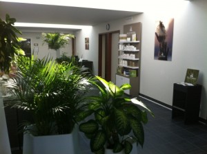 spa-oceane-odalys-guidel